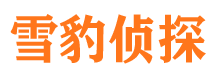 市南市私家侦探